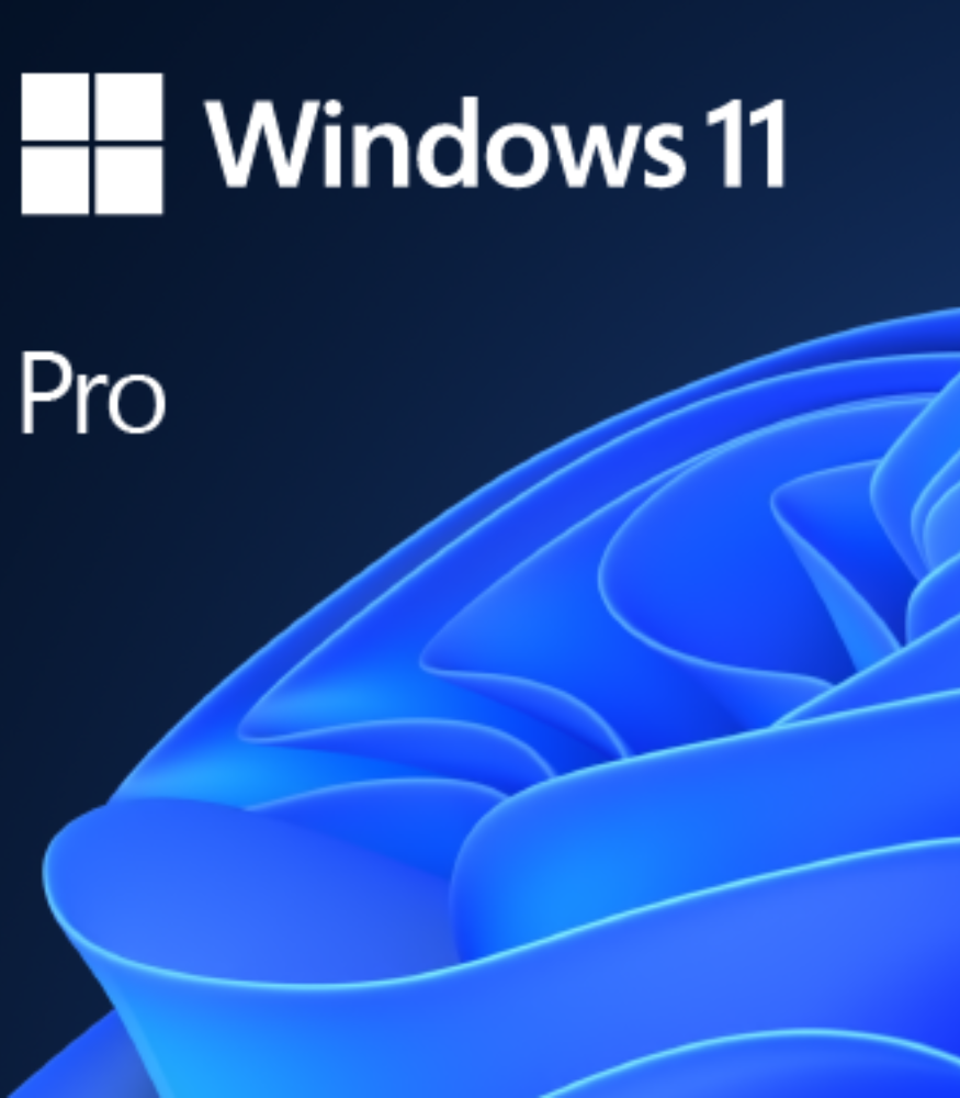 Windows 11 Pro